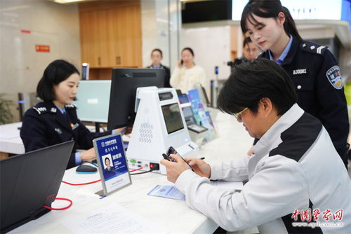 鹽城政務(wù)服務(wù) 以信息技術(shù)咨詢(xún)?yōu)樽ナ郑瑢?shí)現(xiàn)速度與溫度并蓄