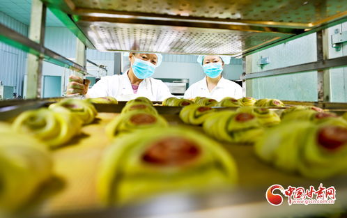 麥香滿溢民樂縣 傳統工藝農副產品，豐收季里享歐佩科